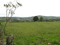 Hunterstown townland in 2006 Hunterstown - geograph.org.uk - 191253.jpg