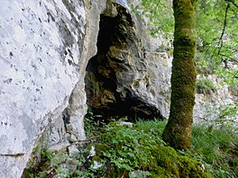 Tolosa: Izenaren jatorria, Geografia, Historia