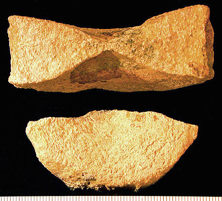 Ichthyosaur vertebra from the Sundance Formation (Late Jurassic) of Natrona County, Wyoming: Note the characteristic hourglass cross-section. (Scale in mm.)