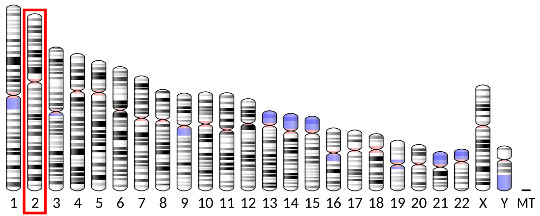 STAT4