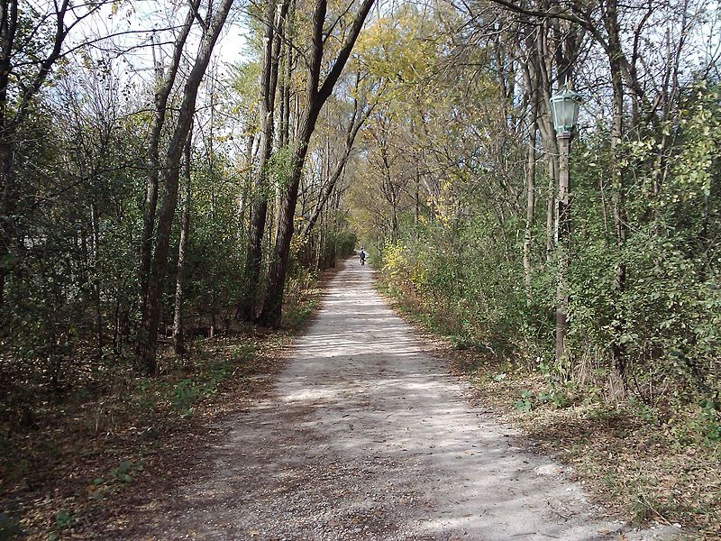 File:Illinois Prarie Path, Elmhurst, IL , Looking West - panoramio.jpg