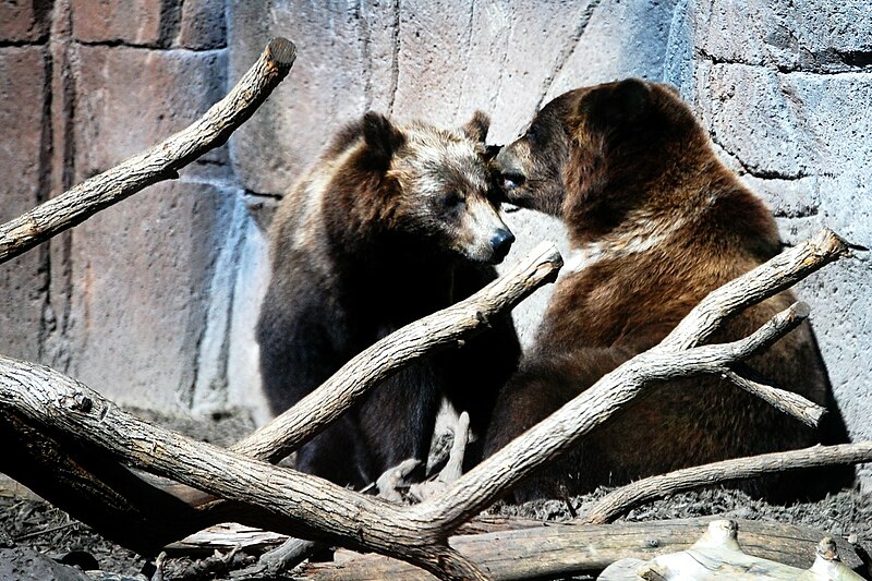 File:Indianapolis Zoo - 2009-05-19 - Bradley Buhro 11.jpg