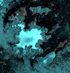 קבוצת אי ג'יימס רוס, צפון מזרח חצי האי אנטארקטיקה. מיזוג תמונות של Landsat 8 OLI ו- Sentinel 1A SAR images.png