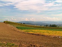 The Belpmoos and an Agricultural land. Kehrsatz-Belpmoos.jpg