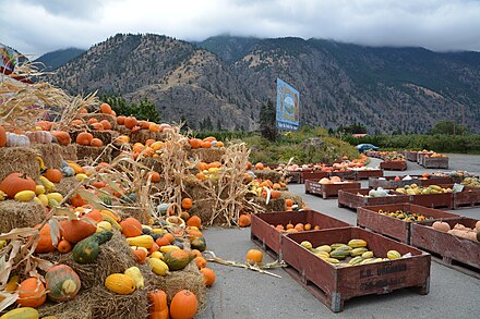 Keremeos produce for sale