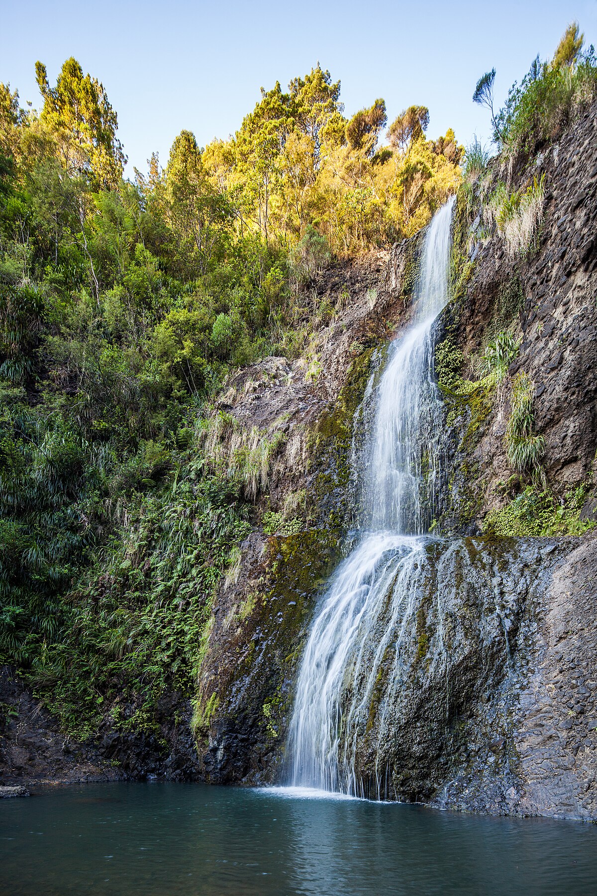 Fallen Rock Cheeky