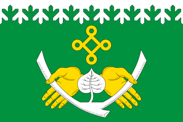 File:Kostomuksha flag.svg