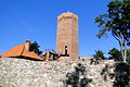 Kruszwica Ruiny zamku, tzw. Mysia Wieża, poł. XIV w..JPG