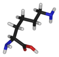 lysine