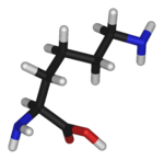 Chemical structure of Lysine