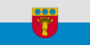 LVA Rūjiena flag.png