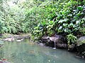 Vignette pour Lézarde (Guadeloupe)