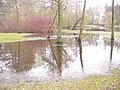 Land Unter! (Flood!) - geo.hlipp.de - 31700.jpg