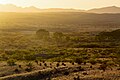 Las Cienegas National Conservation Area, Arizona (2016) ;