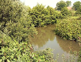 La Liane a Hesdigneul-lès-Boulogne.