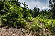 English: Republican biological reserve Liebiadziny. Minsk, Belarus Беларуская: Рэспубліканскі біялагічны заказнік Лебядзіны. Мінск, Беларусь Русский: Республиканский биологический заказник Лебяжий. Минск, Беларусь