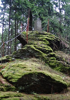 Liesel 13-11-2010 Adlerstein.jpg