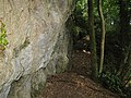 Limestone Outcrop in Bradley Woods (2).jpg