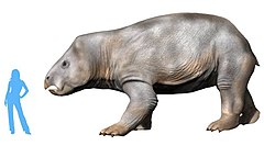 利索维斯兽属，三叠纪体型最大的陆栖动物之一，演化出了独特的四肢直立姿势，属于史达勒克兽科，生存于三叠纪瑞替期的波兰