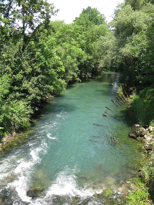 Ljubija (Ljubljanica)