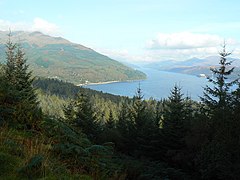 Loch Long from above Ardentinny