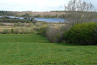 Ross Lake (Ireland)