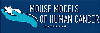 <span class="mw-page-title-main">Mouse Models of Human Cancer database</span>