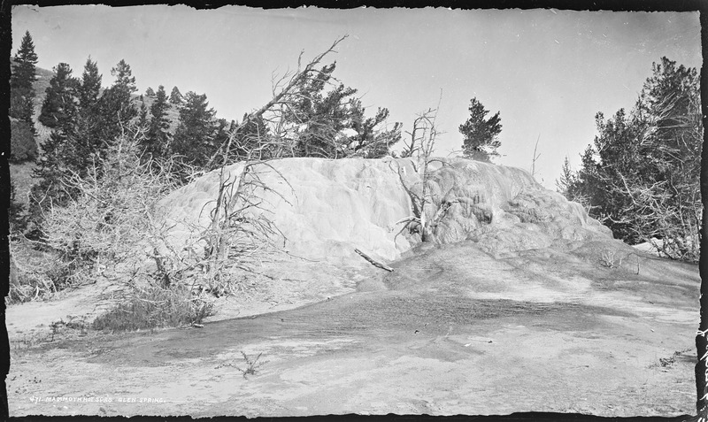 File:Mammoth Hot Springs, Glen Spring. Yellowstone National Park - NARA - 517208.tif