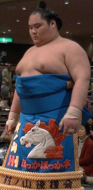 <span class="mw-page-title-main">Masunoyama Tomoharu</span> Japanese sumo wrestler