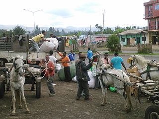 <span class="mw-page-title-main">Goba</span> Town in Oromia Region, Ethiopia