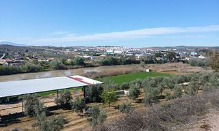 <span class="mw-page-title-main">Mengíbar</span> Municipality in Andalusia, Spain