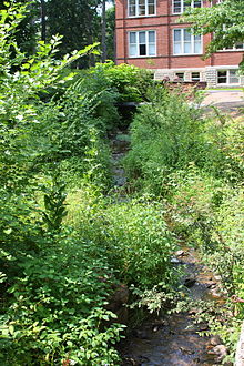 Miller Run looking upstream