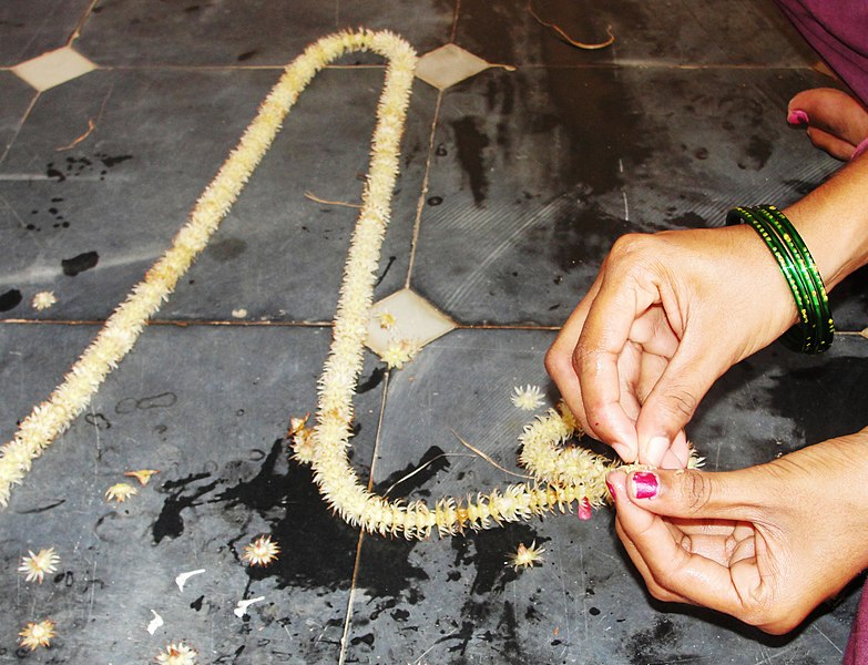 File:Mimusops elengi, making garland.jpg