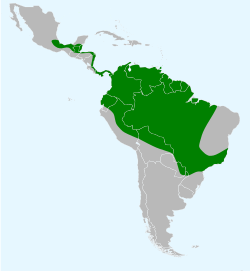 Distribución geográfica de Molothrus oryzivorus