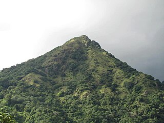 <span class="mw-page-title-main">Capáez, Adjuntas, Puerto Rico</span> Barrio in Puerto Rico