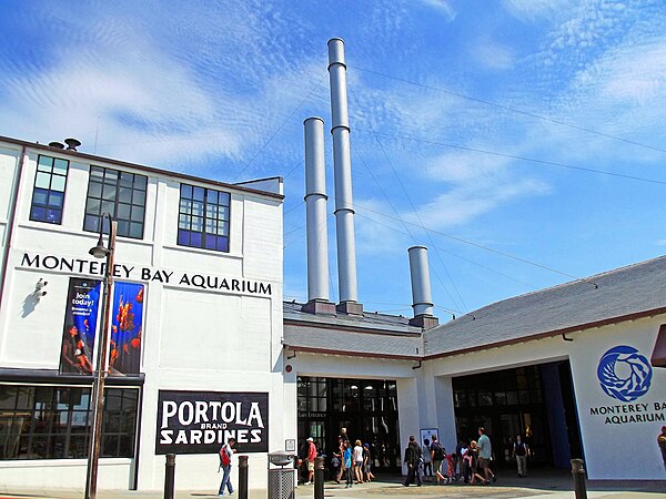 Image: Monterey Bay Aquarium