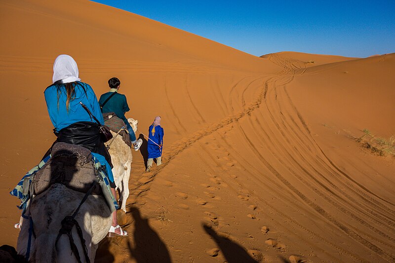 File:Morocco - Marrakech to Sahara (31053385250).jpg