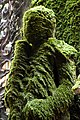 Moss Covered Statue at Hozenji in Namba.