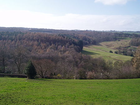 Myers Wood