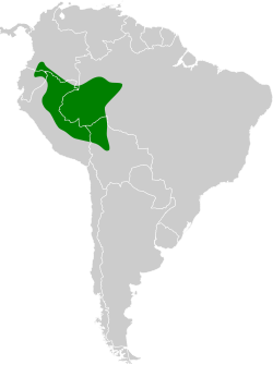 Distribución geográfica del hormiguero plomizo.