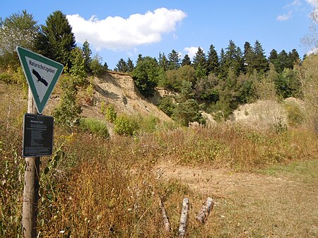 NSG Benzinger Berg