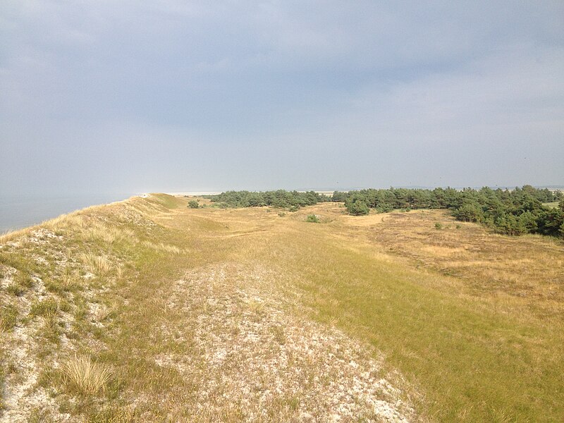 File:Nationalpark Vorpommersche Boddenlandschaft - Ausblick Richtung Hiddensee.jpg