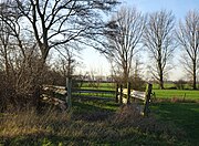 Veebocht in de Hetter (Emmerik)