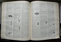 Grand Larousse encyclopédique