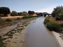 Novato Creek in summer 2016