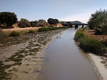 Novato Creek in summer 2016 Novato Creek 3.jpg