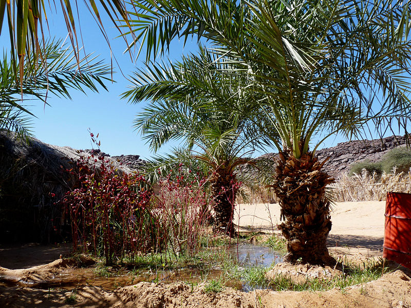 File:Oasis de Mhaïreth (07).jpg