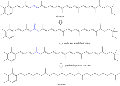 One diagenetic pathway proposed to saturate okenone to okenane is reductive desulphurization, where hydrogen sulfide adds to a double bond and is then removed. More research is needed on other reactions that remove functional groups before preservation. Okenone Reductive Desulphurization to Okenane.png