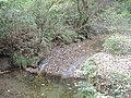 The source of the Ōoka River, in Hitorizawa-Chō (氷取沢町 [ja])