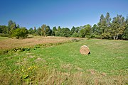 Čeština: Přírodní rezervace Bedřichovka, okres Rychnov nad Kněžnou